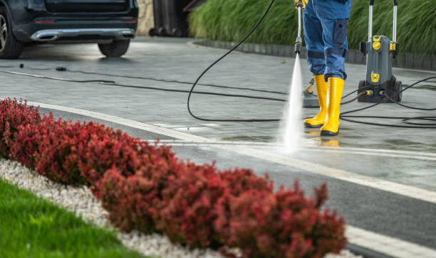 Animal Enclosure Cleaning in Russellville, KY